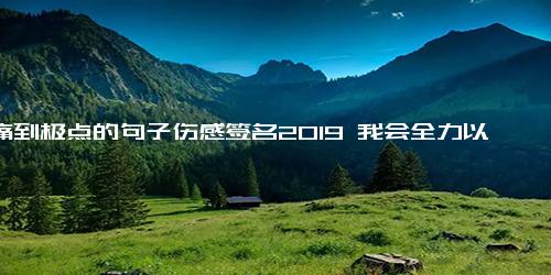 心痛到极点的句子伤感签名2019 我会全力以赴赶走所有孤独